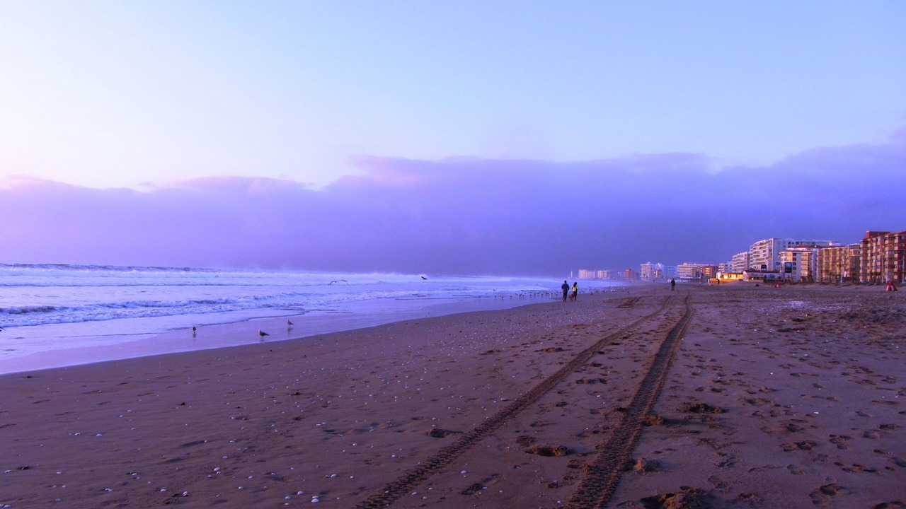 Photo of Others in La Serena