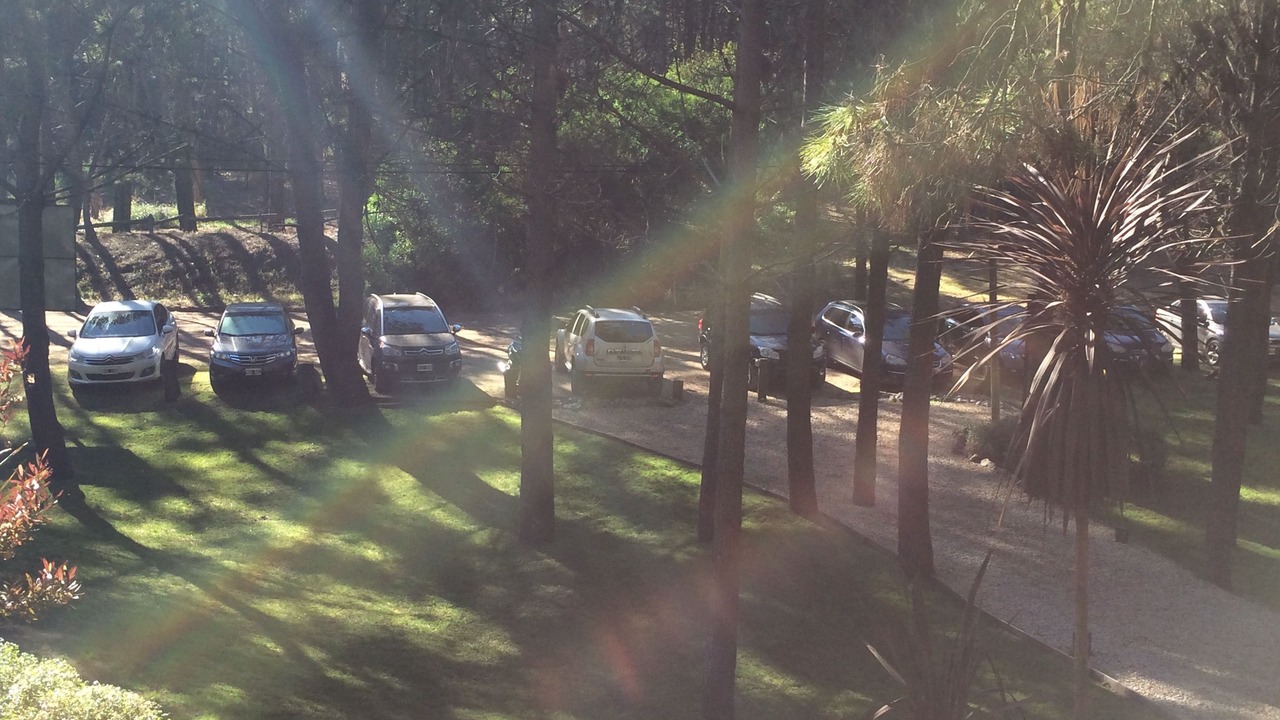 Photo of Others in Mar de Las Pampas