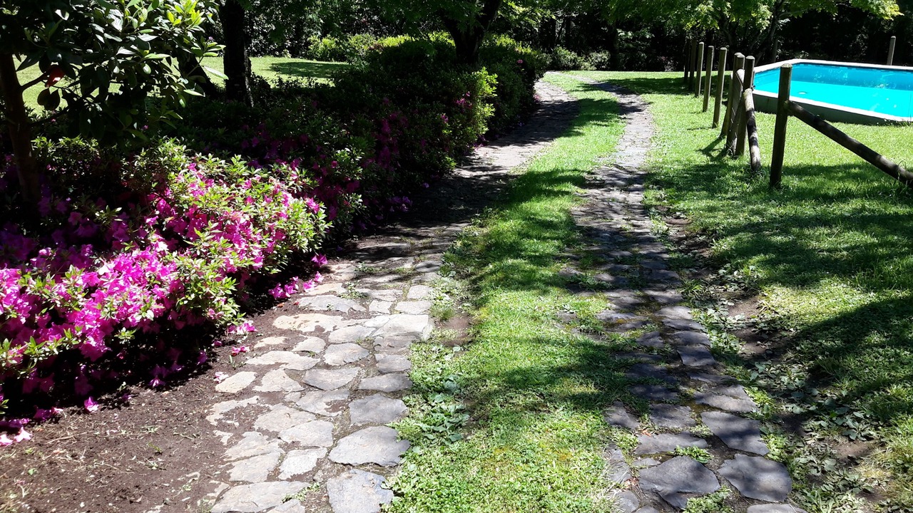 Photo of Outdoor in Pucon
