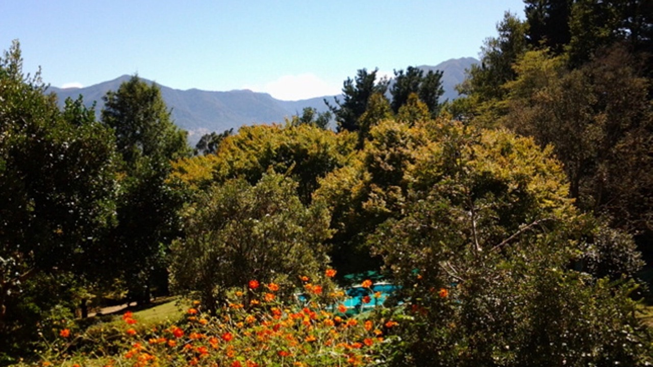 Photo of Outdoor in Pucon