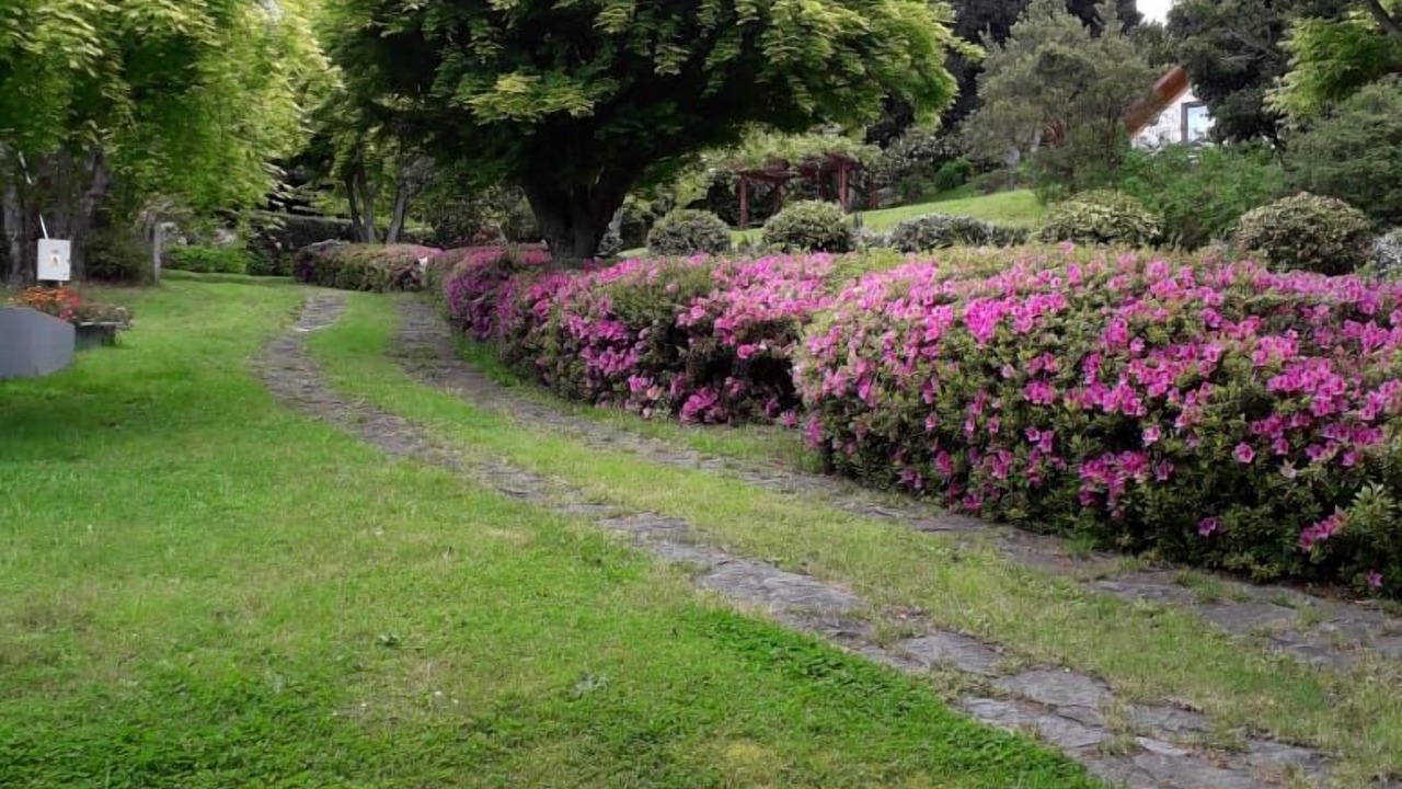 Photo of Outdoor in Pucon