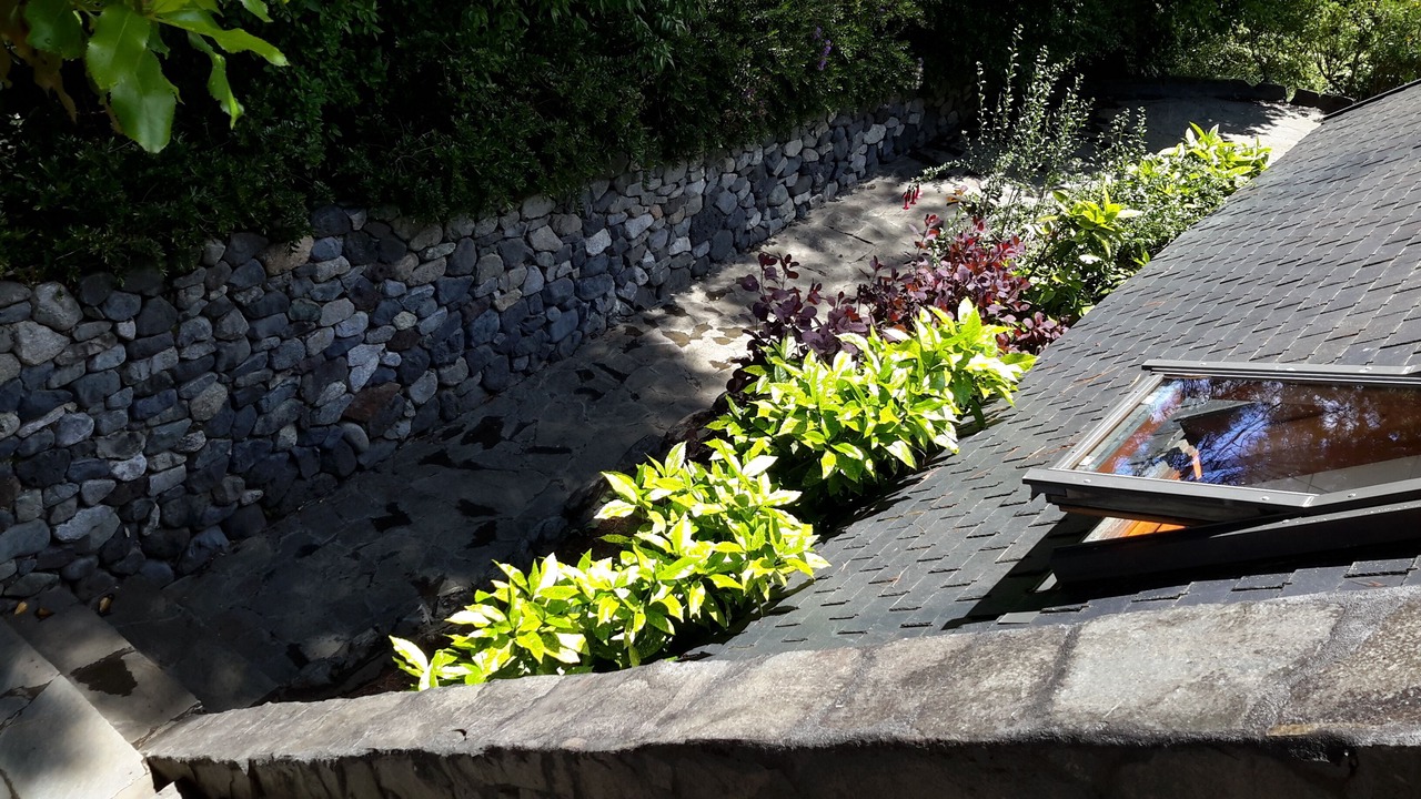 Photo of Outdoor in Pucon