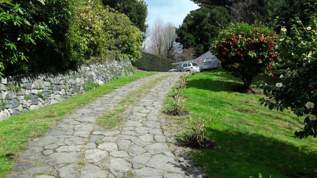 Photo of Outdoor in Pucon