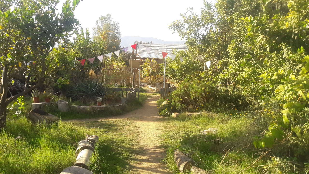 Photo of Outdoor in Limache
