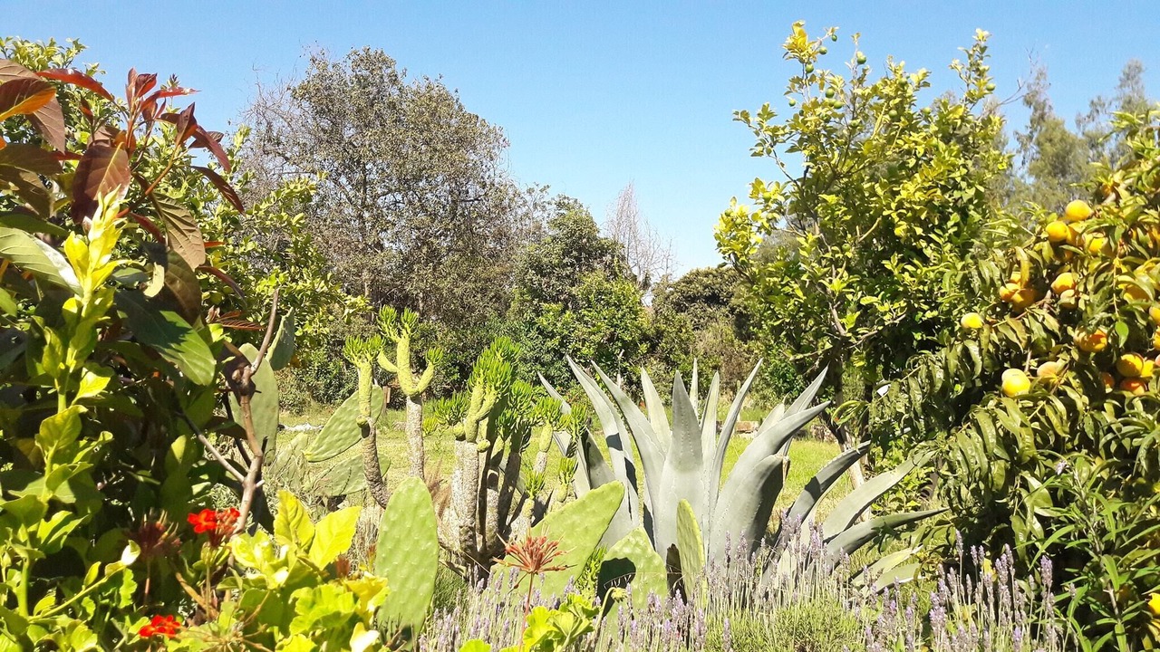 Photo of Outdoor in Limache