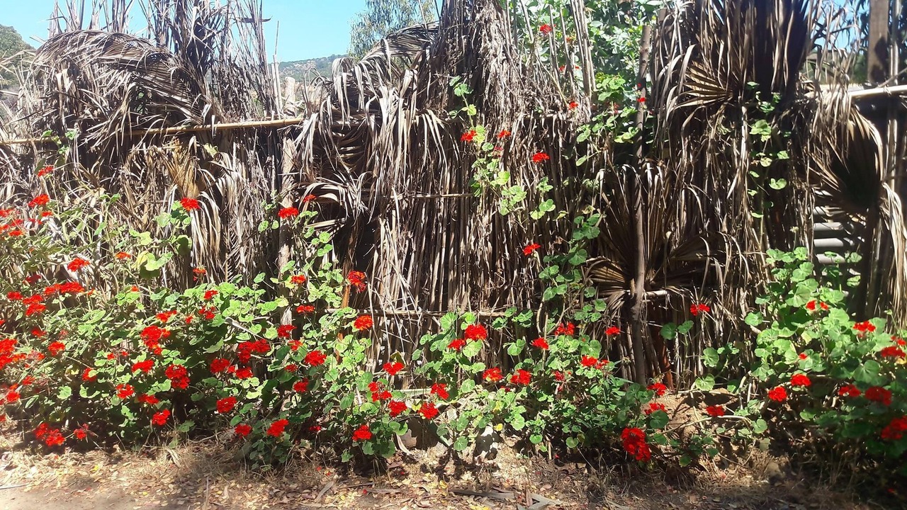 Photo of Outdoor in Limache