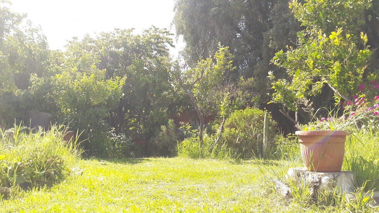 Photo of Outdoor in Limache