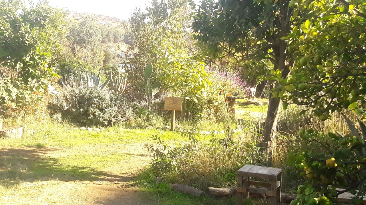 Photo of Outdoor in Limache