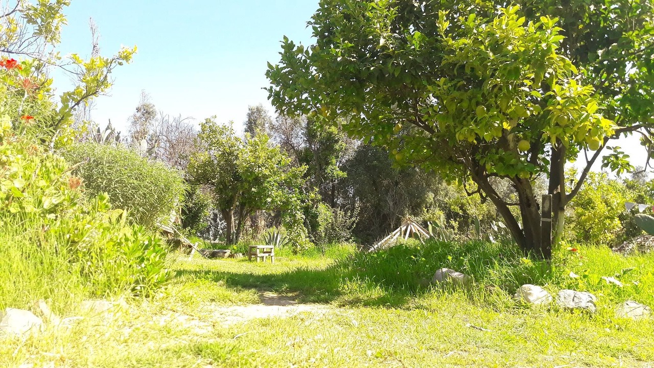 Photo of Outdoor in Limache
