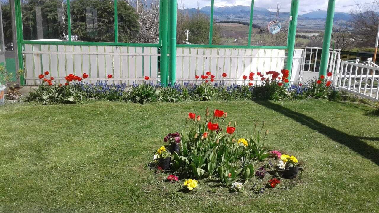 Photo of Outdoor in Coyhaique