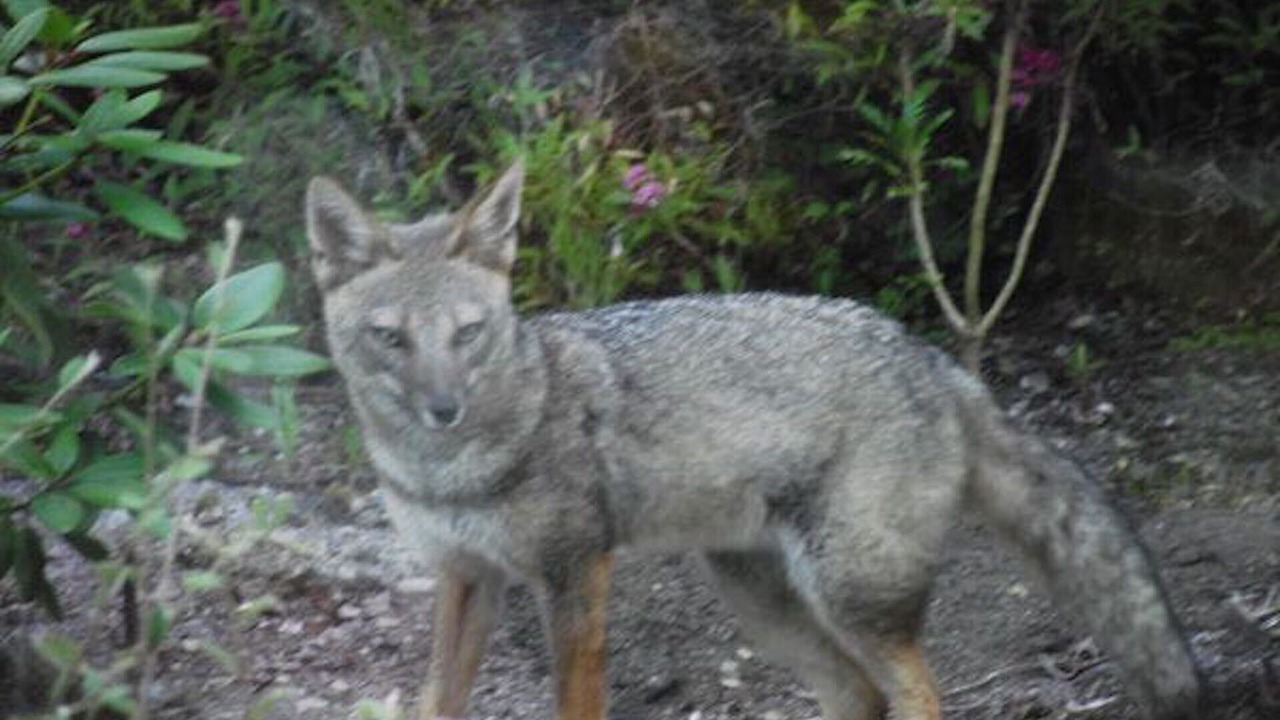 Photo of Others in Ensenada