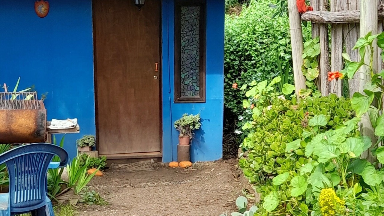 Photo of Outdoor in Isla Negra