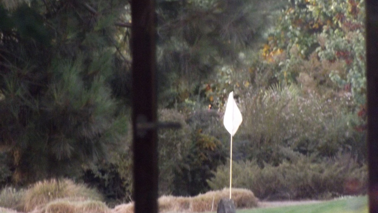 Photo of Outdoor in Colina