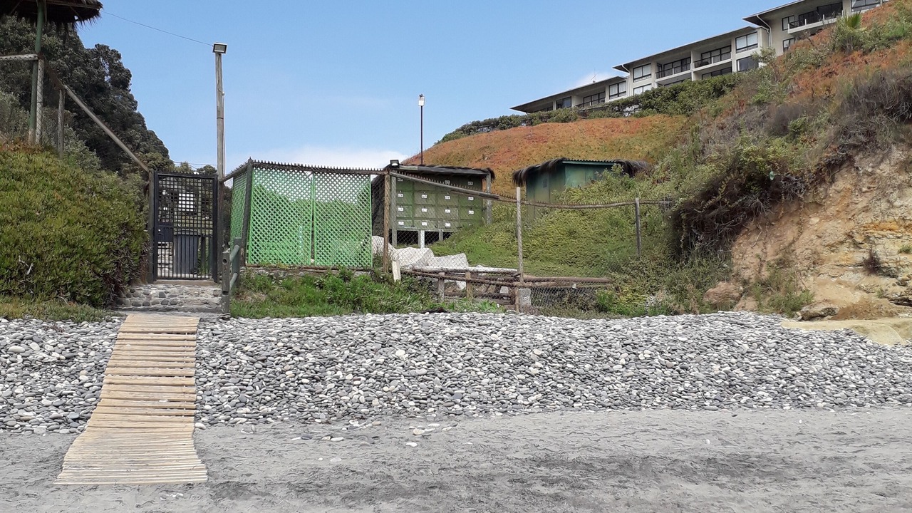 Photo of Outdoor in Puchuncavi
