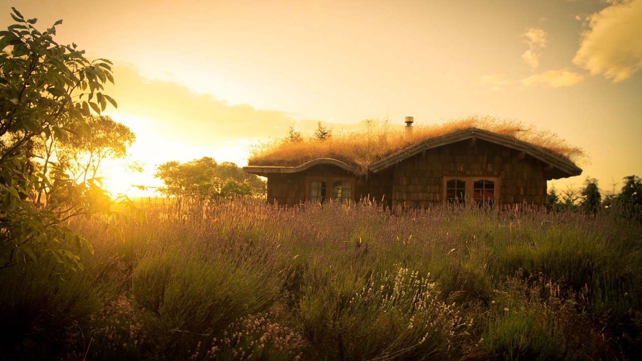 Photo of Outdoor in Puerto Octay