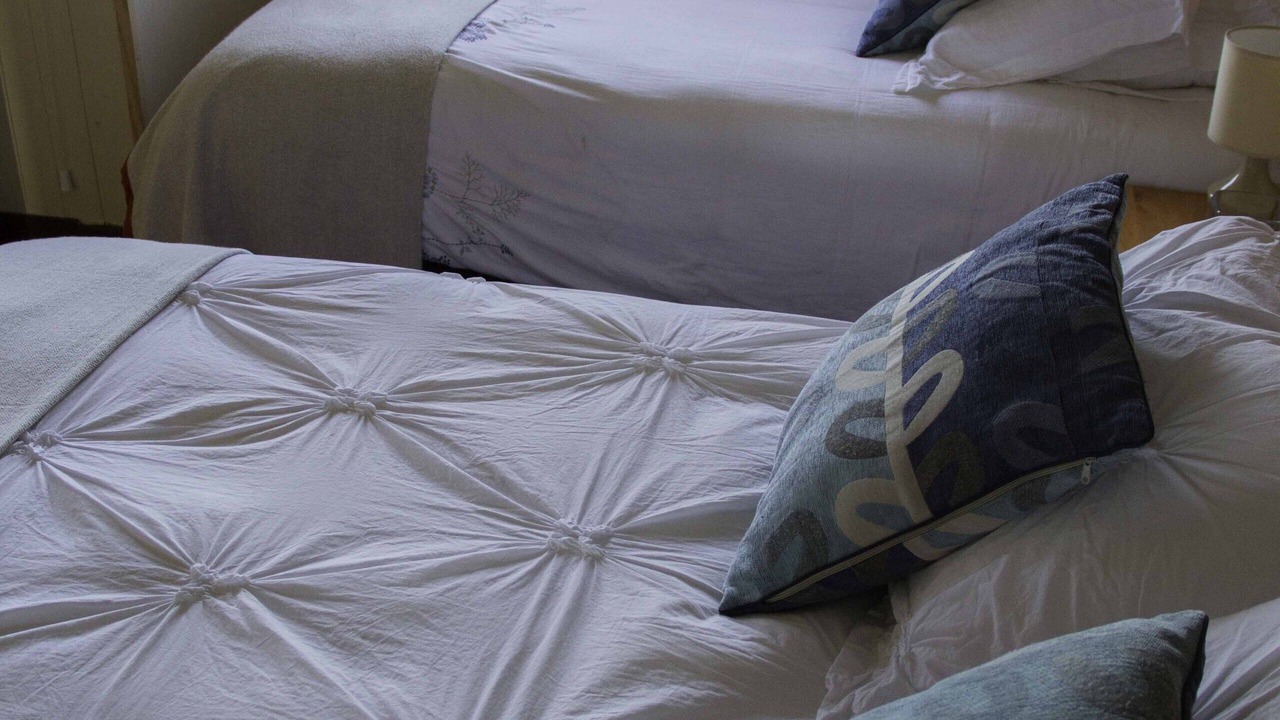 Photo of Bedroom in Puerto Octay