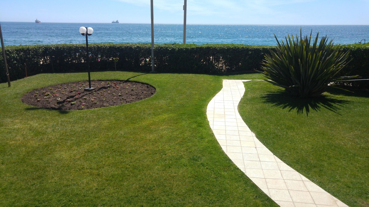 Photo of Outdoor in Vina del Mar