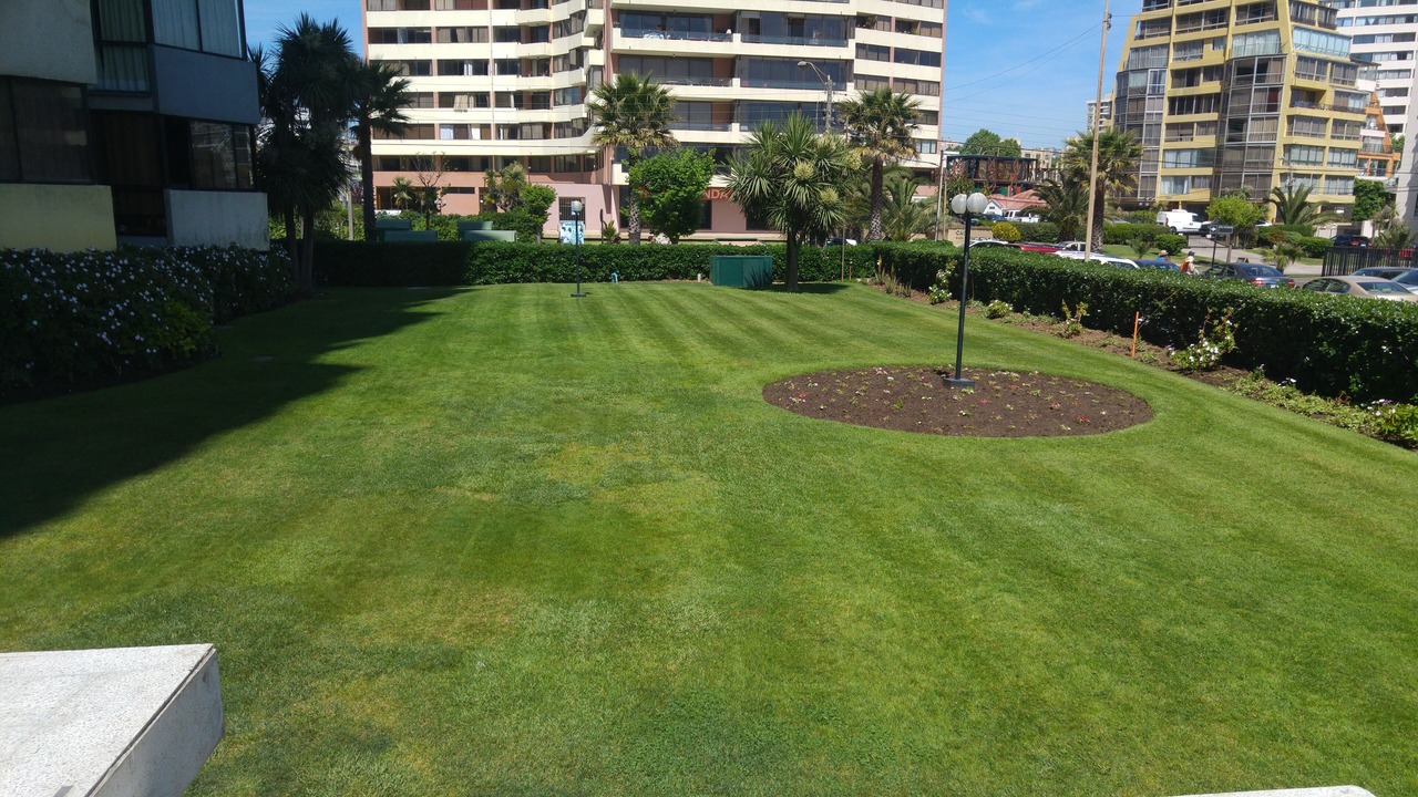 Photo of Outdoor in Vina del Mar