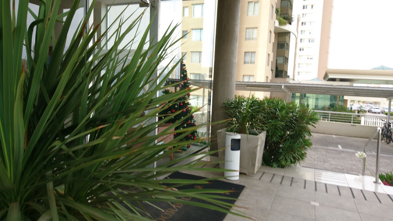Photo of Outdoor in Renaca