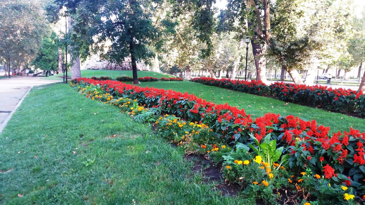 Photo of Outdoor in Lastarria