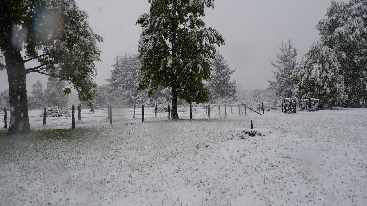 Photo of Outdoor in Curacautin