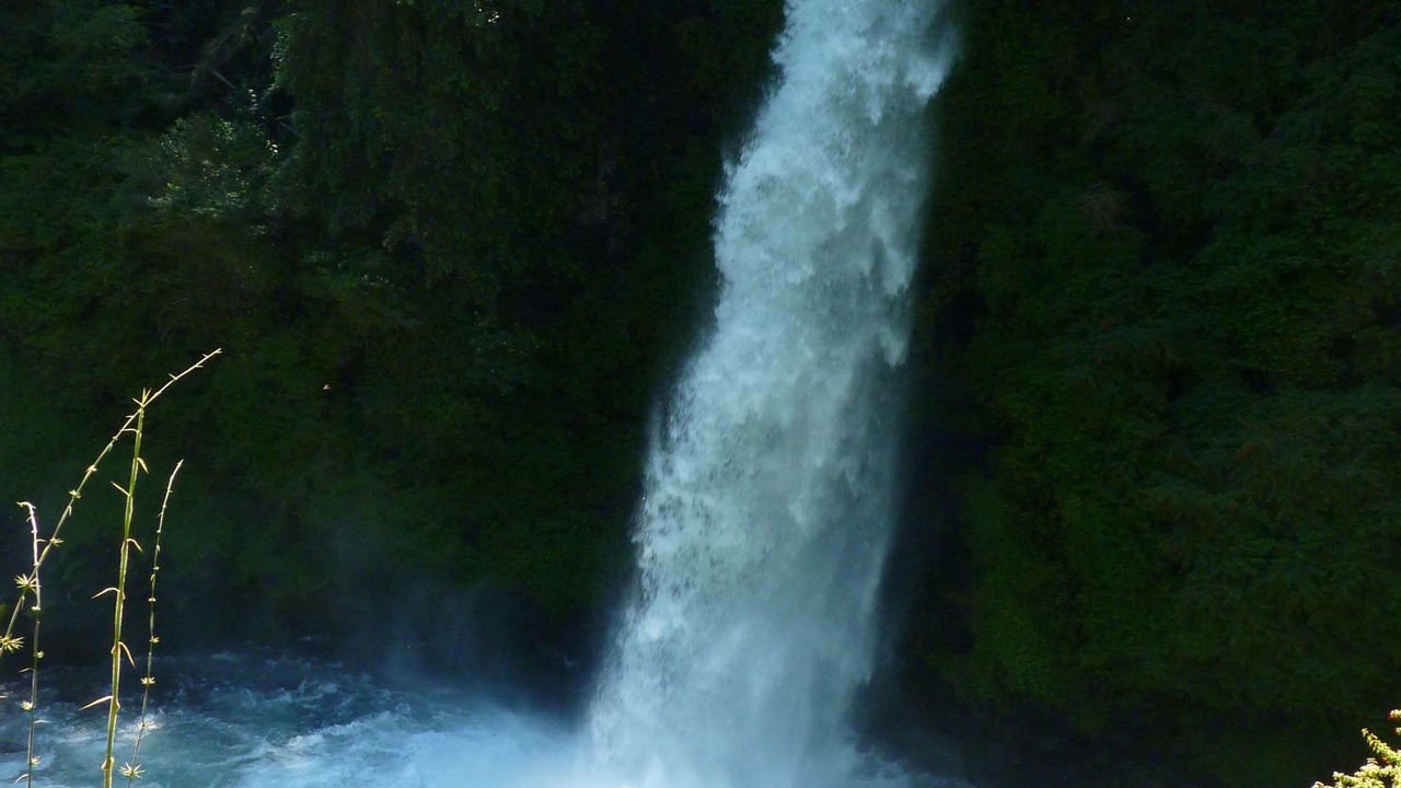 Photo of Outdoor in Curacautin