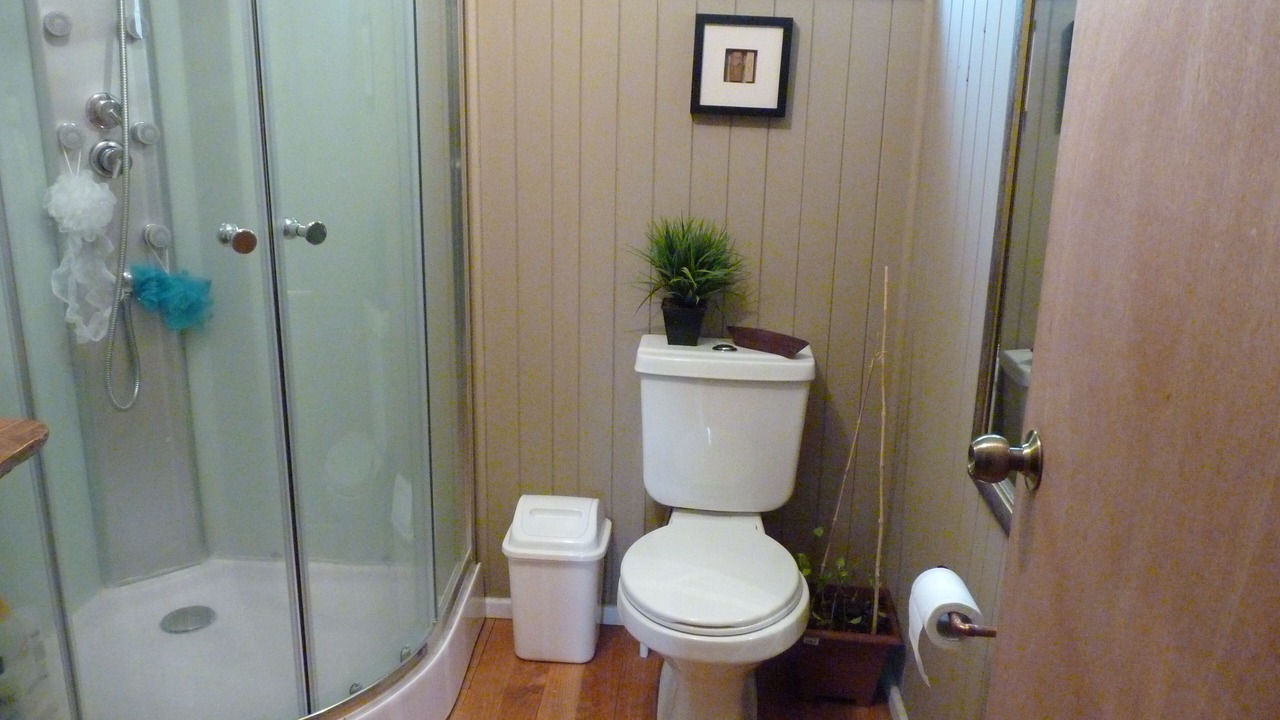 Photo of Bathroom in Curacautin