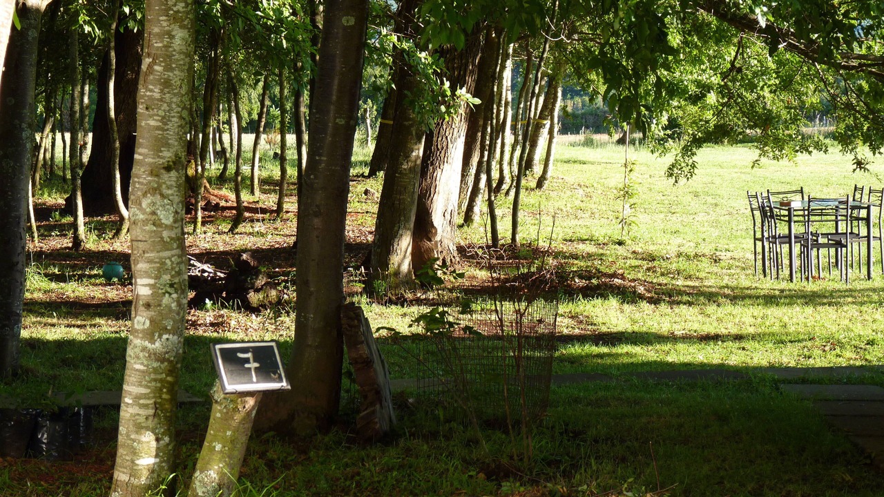 Photo of Outdoor in Curacautin