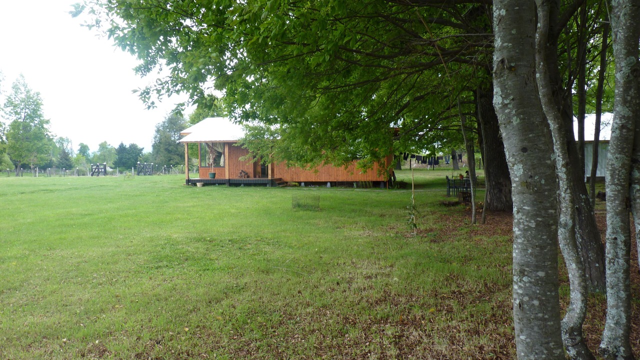 Photo of Outdoor in Curacautin