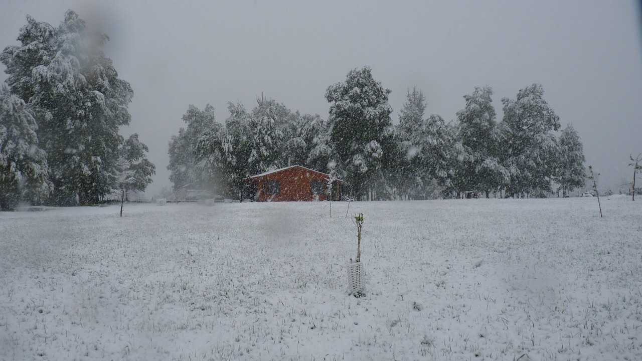 Photo of Others in Curacautin