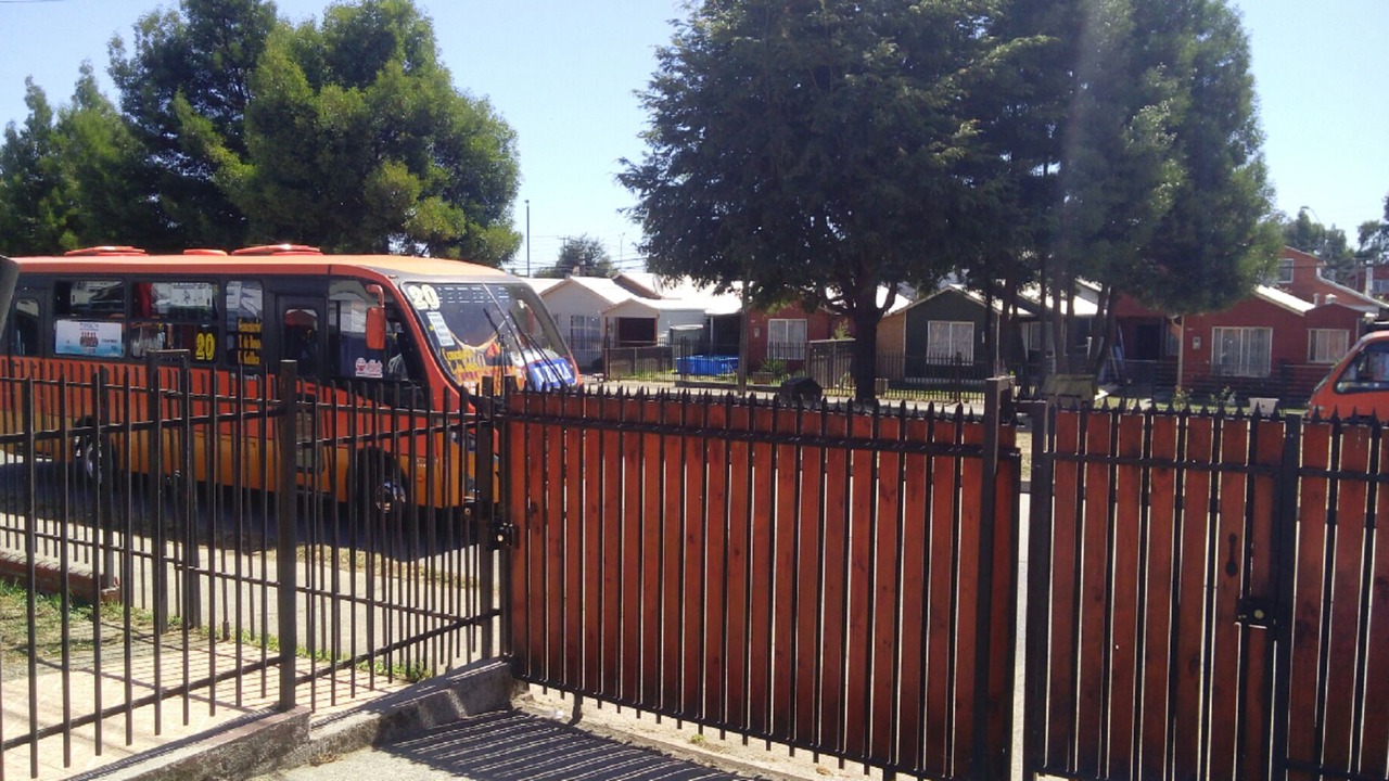 Photo of Outdoor in Valdivia