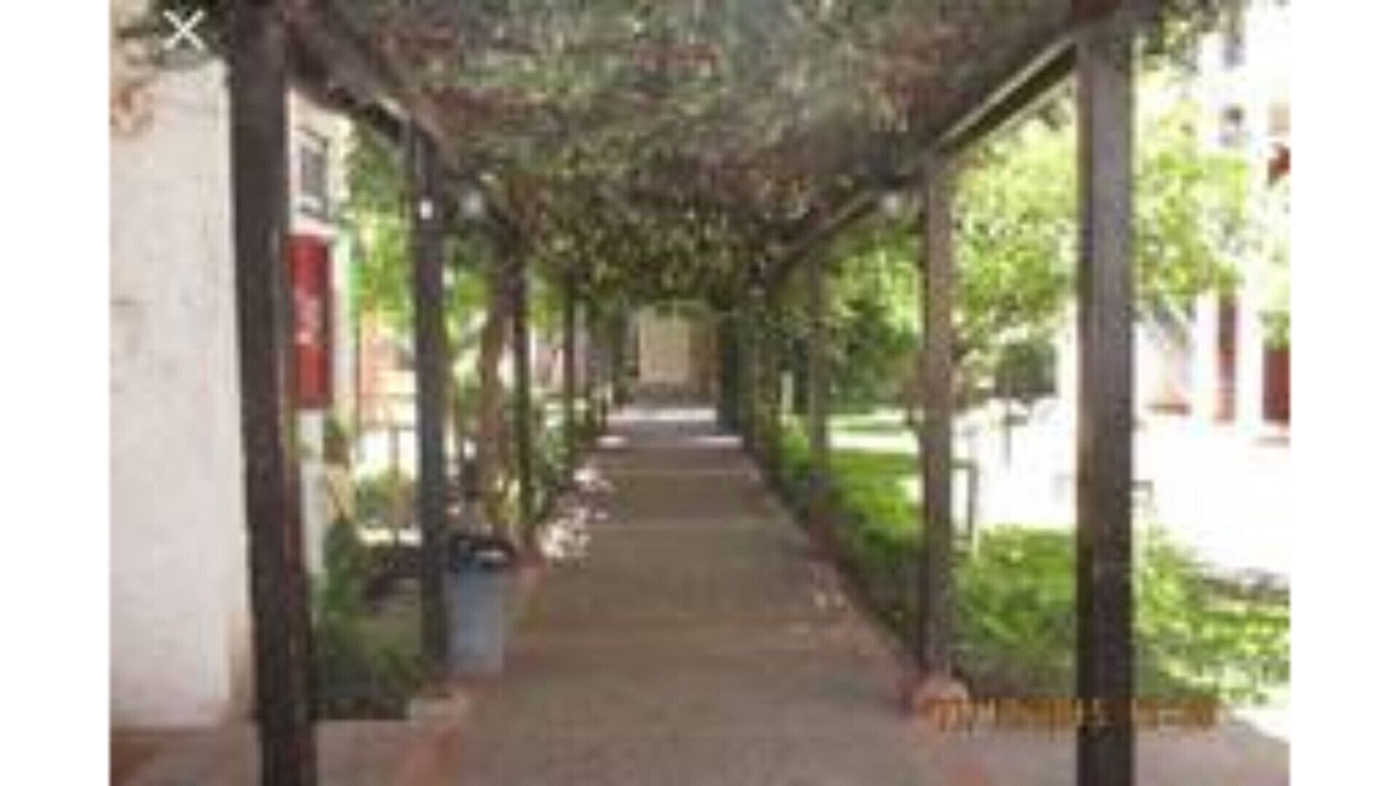Photo of Outdoor in Rancagua