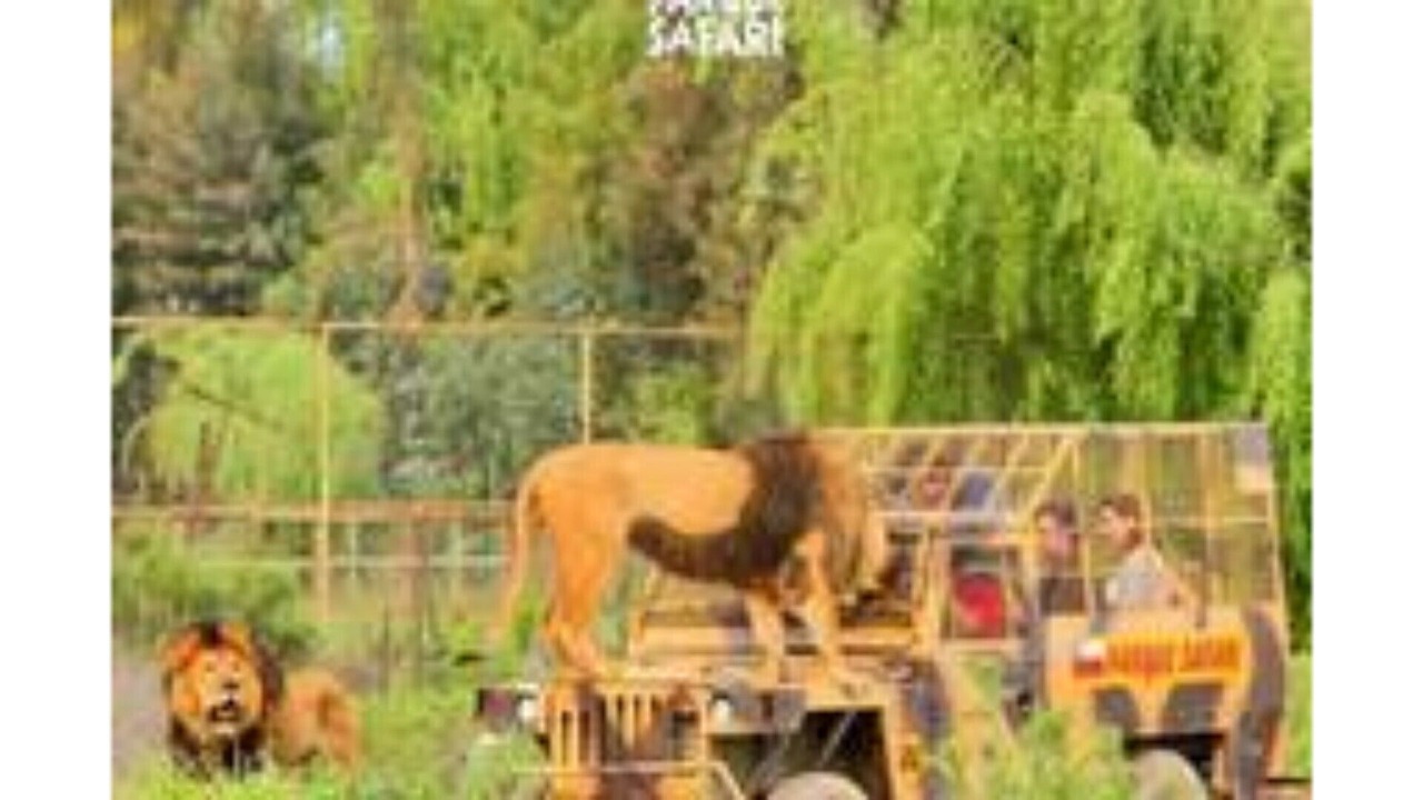 Photo of Others in Rancagua
