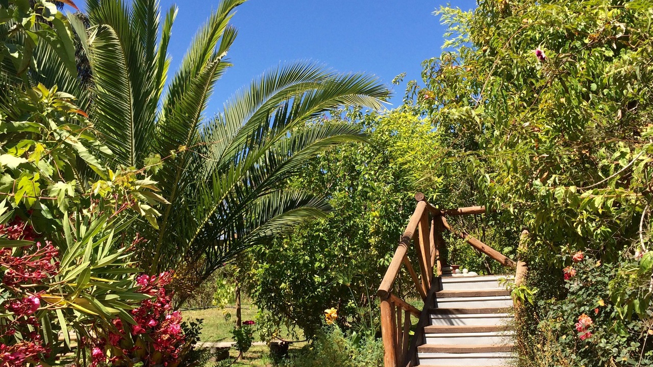 Photo of Outdoor in La Serena