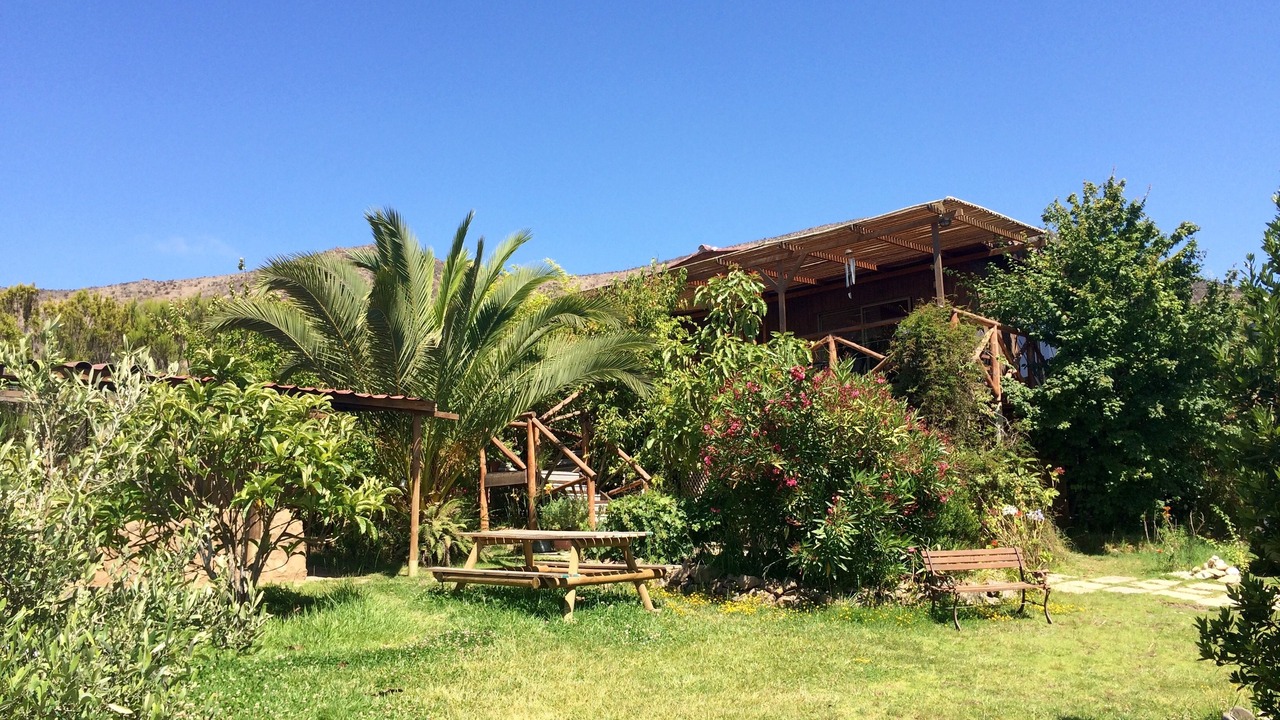 Photo of Outdoor in La Serena