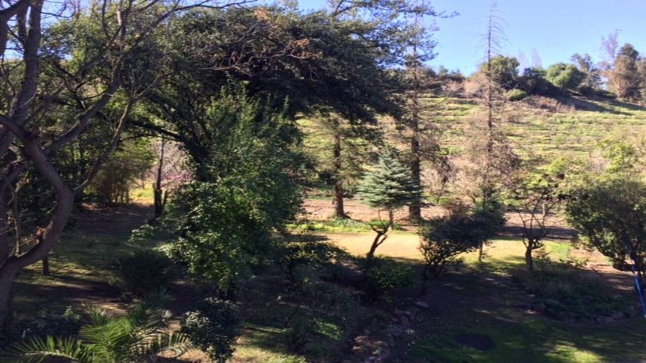 Photo of Outdoor in San Felipe
