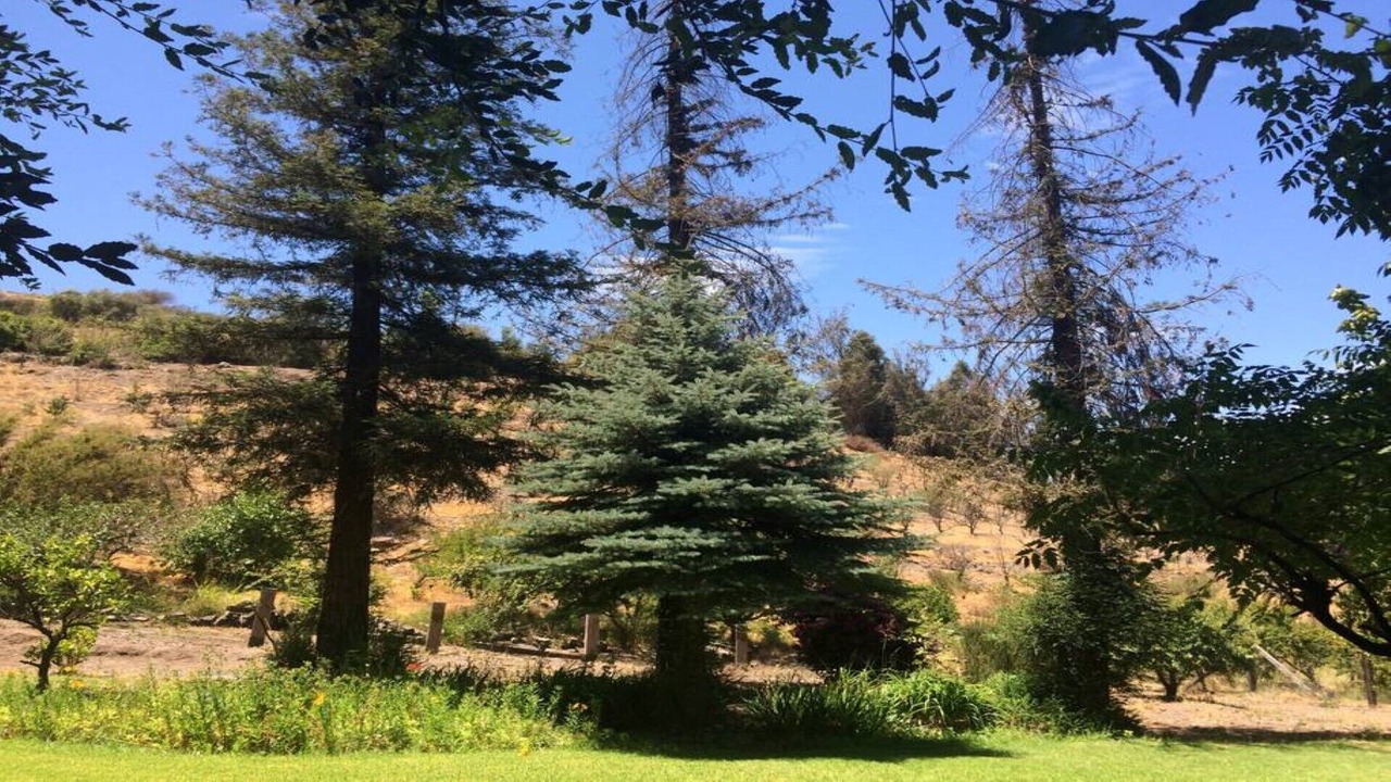 Photo of Outdoor in San Felipe