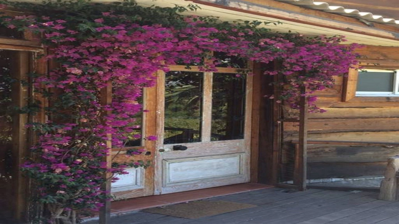 Photo of Outdoor in San Felipe