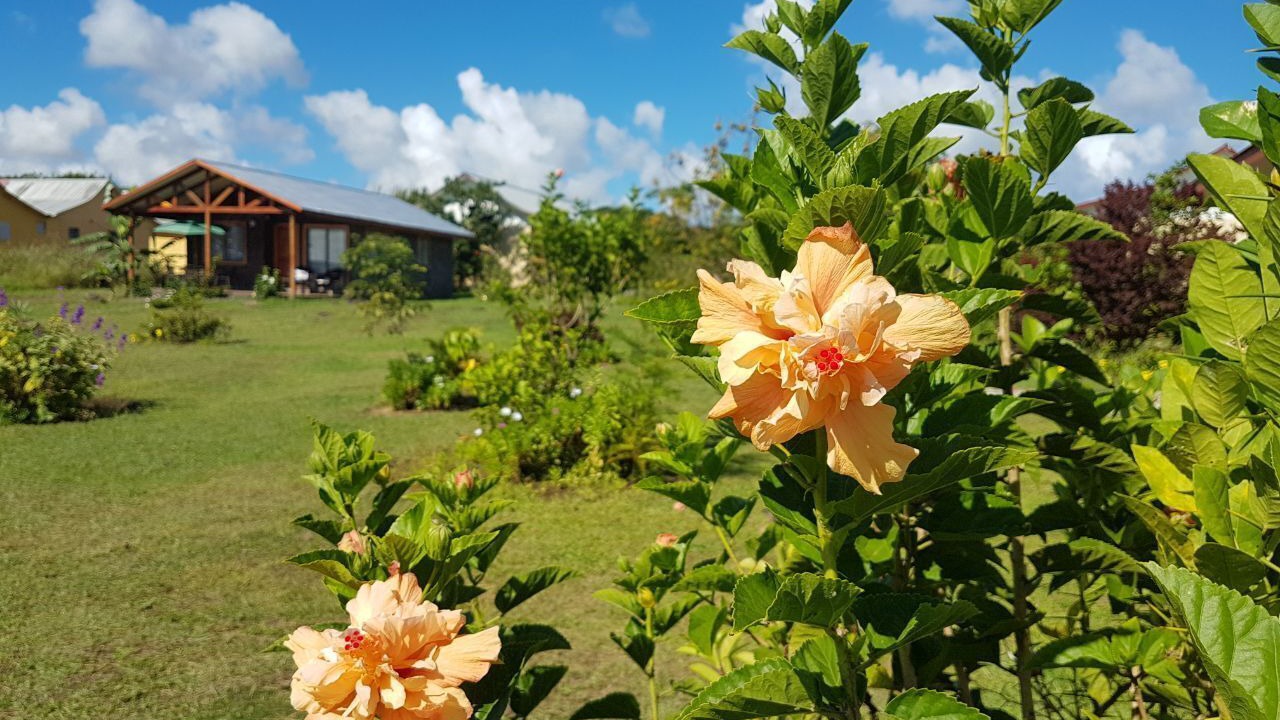 Photo of Outdoor in Hanga Roa