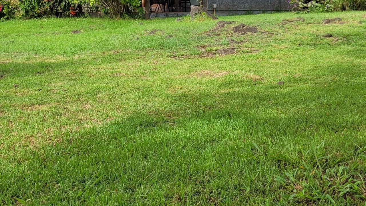 Photo of Outdoor in Hanga Roa