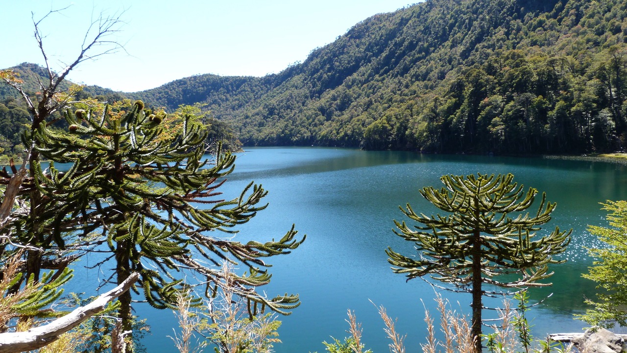 Photo of Others in Pucon