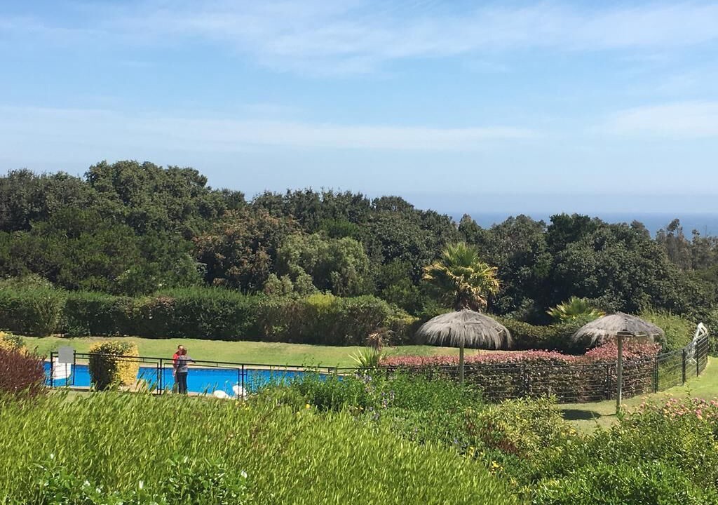 Photo of Outdoor in Quintero