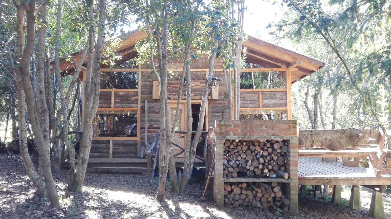 Photo of Outdoor in Pucon