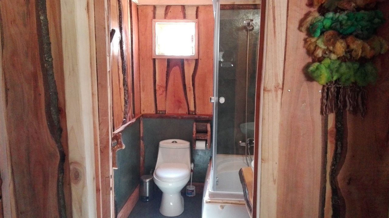 Photo of Others in Pucon
