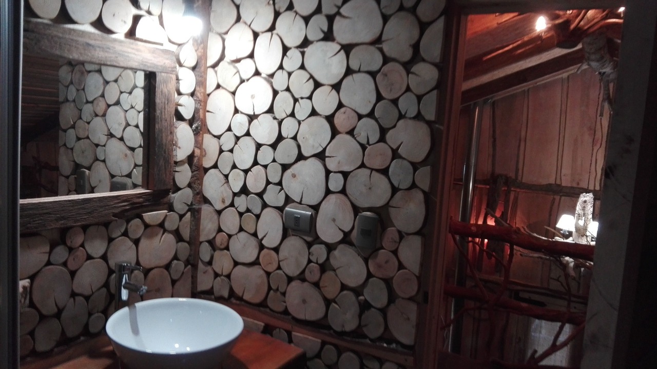Photo of Bathroom in Pucon