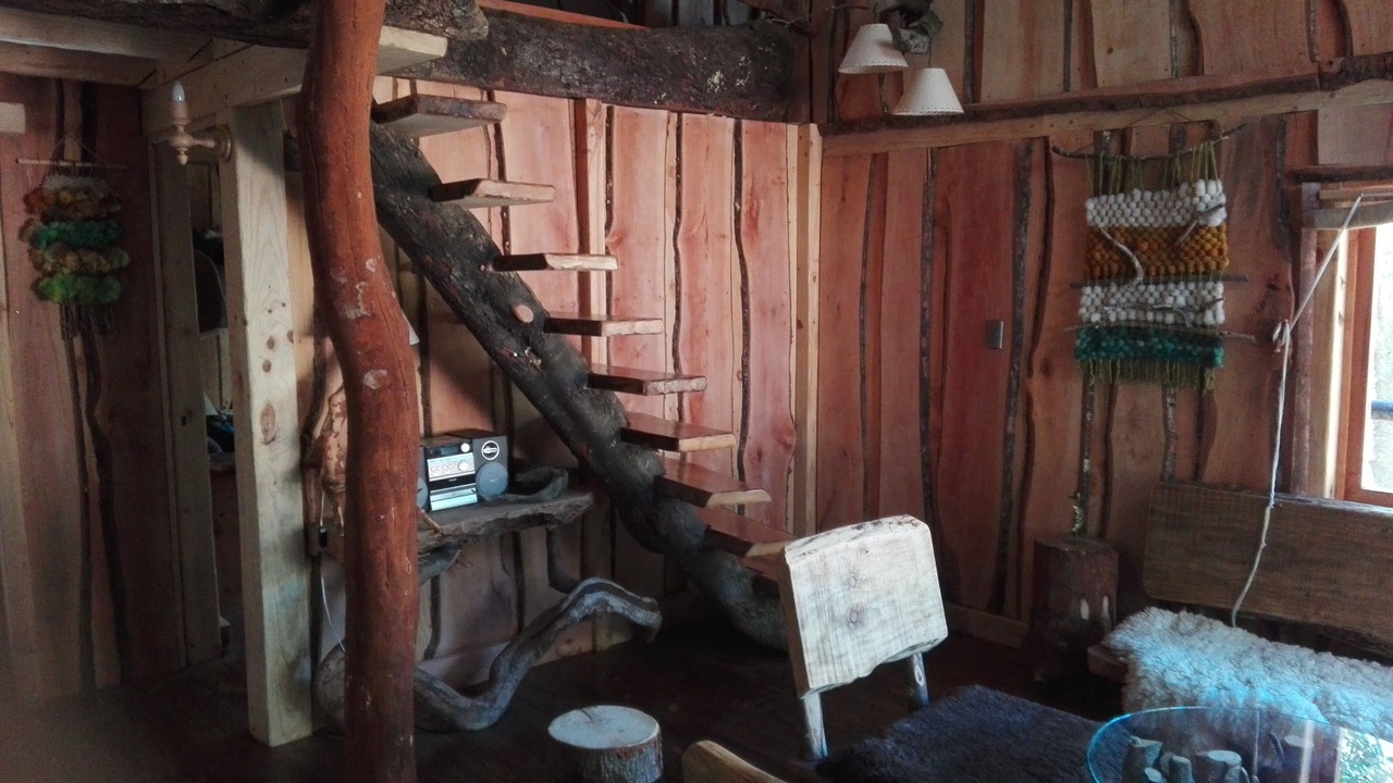 Photo of Others in Pucon