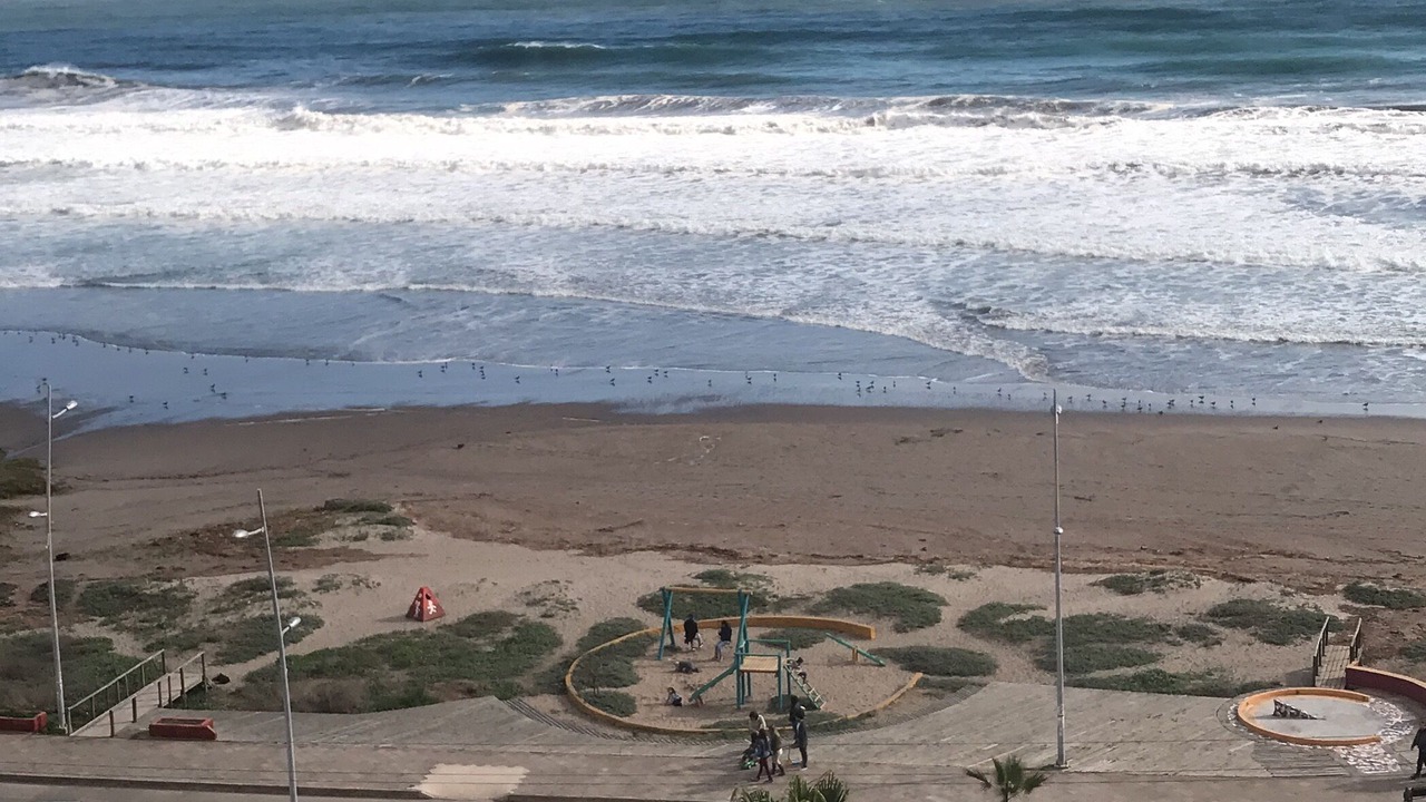 Photo of Others in La Serena