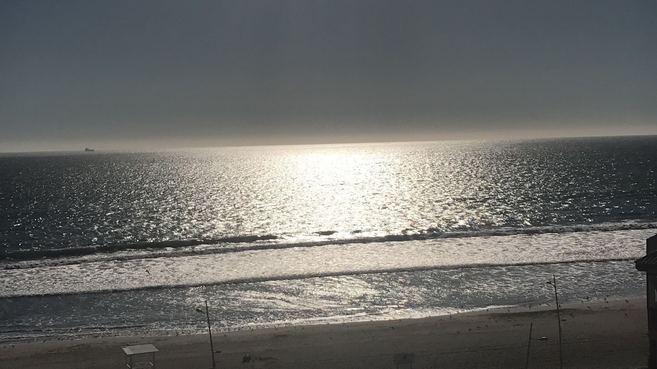 Photo of Others in La Serena