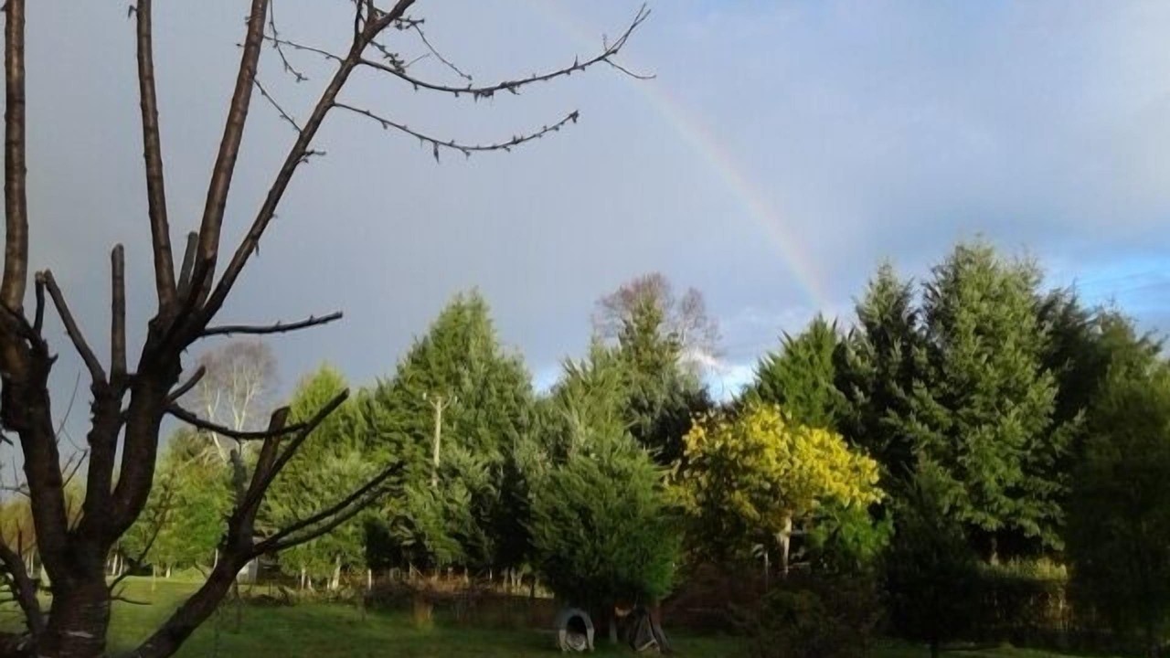 Photo of Others in Villarrica