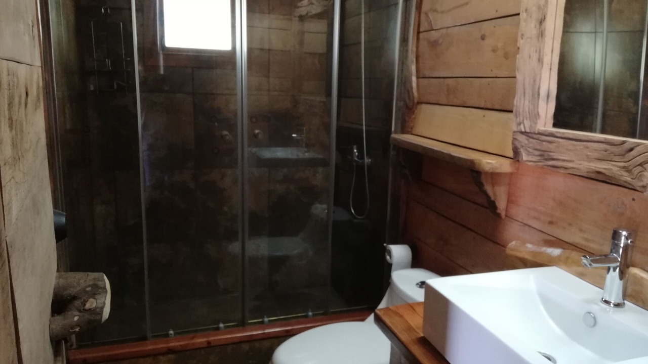 Photo of Bathroom in Pucon